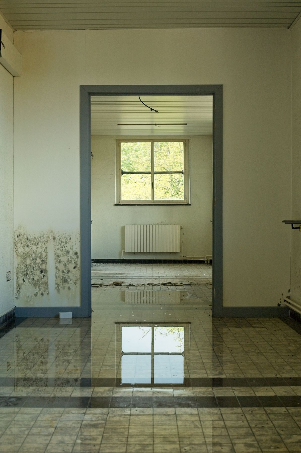 Standing water flooding a San Jose home floor after a burst pipe