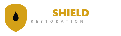 DryShield Restoration water damage San Jose logo
